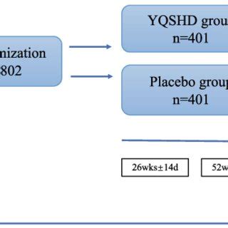 Flow Diagram Of The Randomized Placebo Controlled Double Blinded Download Scientific Diagram