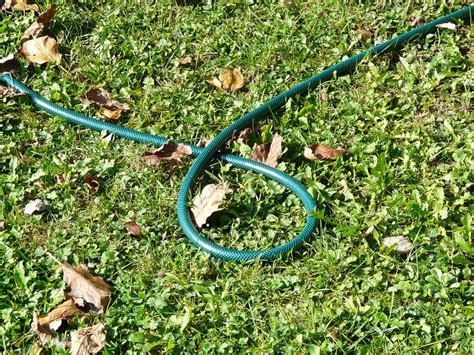 In lawns on compacted clay soil where water does not penetrate easily, consider aerifying the lawn. Fall Lawn Care Tips for San Jose, CA