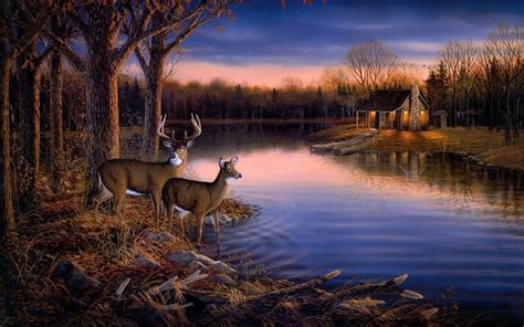 Free Whitetail Deer Wallpapers Wallpaper Cave