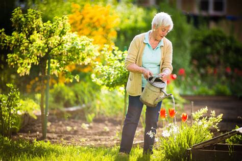 Gardening Ideas For Seniors Cahoon Care Associates