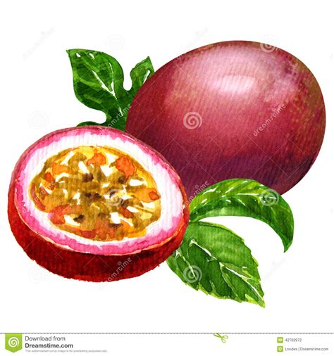 Passion Fruit Clipart 20 Free Cliparts Download Images On Clipground 2024