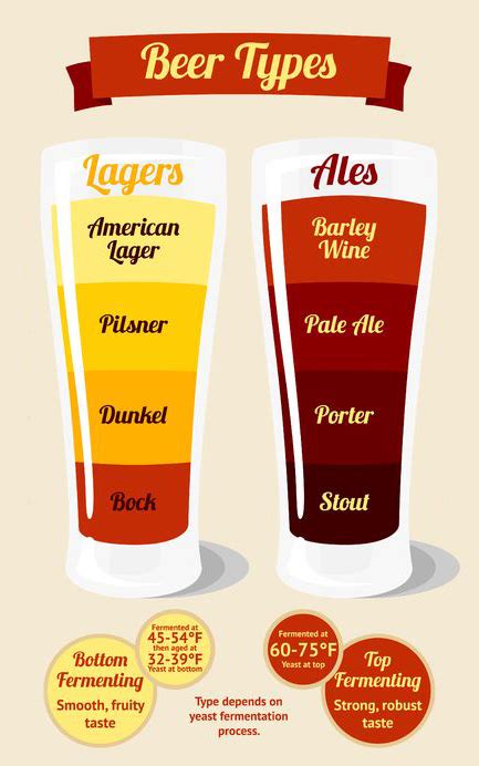 What Is The Difference Between Beer And Ale Slide Course