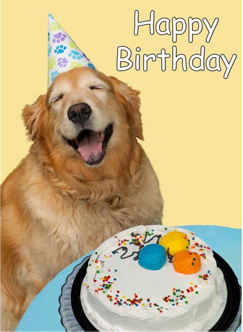 Create your own printable & online birthday cards with photos using our card maker. Birthday Wishes With Puppies