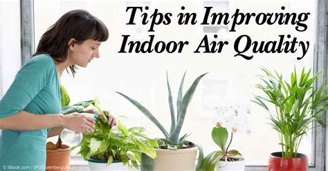 Tips In Improving Your Indoor Air Quality