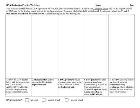 One of the strands comes from the original strand. Dna Replication Practice Worksheet Answers - Worksheet List