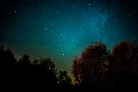 Free Images Forest Star Milky Way Atmosphere Space Darkness