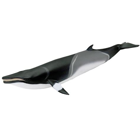 Minke Whale Sea Life Toy Figuredefault Title In 2022 Minke Whale