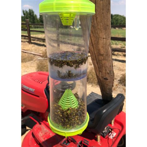 Red Wasp Trap