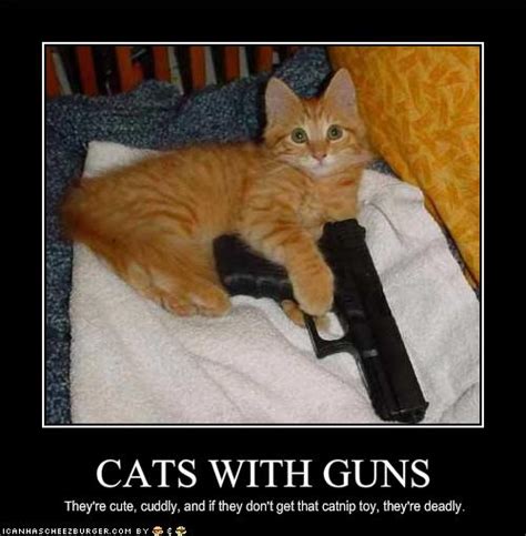 Funny Animals With Guns 2012 Most Funny Wallpapers Funny Collection World
