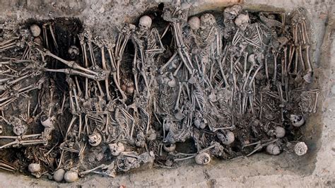 The first thing you notice is that the air conditioning is on. Ancient DNA traces the Black Death to Russia's Volga ...