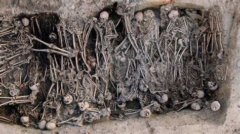 The back of the check may look nothing like the front, but the layout only composes of two parts security screen: Ancient DNA traces the Black Death to Russia's Volga ...