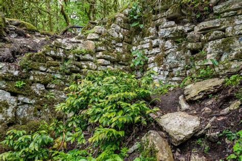 The Ruins Of An Ancient Stone Fortress In A Dense Green Forest Stock