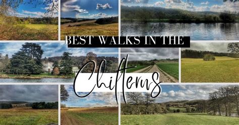 Best Walks In The Chilterns 9 Guides And Free Maps The Flamingo Hiker