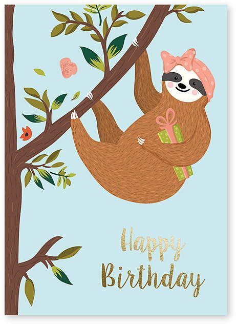Sloth Birthday Card Set Of Six Sloth Birthday Birthday Wishes