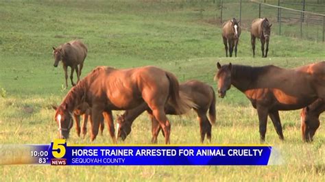 Horse Trainer Arrested On Suspicion Of Animal Cruelty After Horses