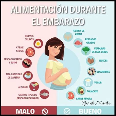 ALIMENTACIÓN DURANTE EL EMBARAZO Alimentacion embarazo Nutrición durante el embarazo