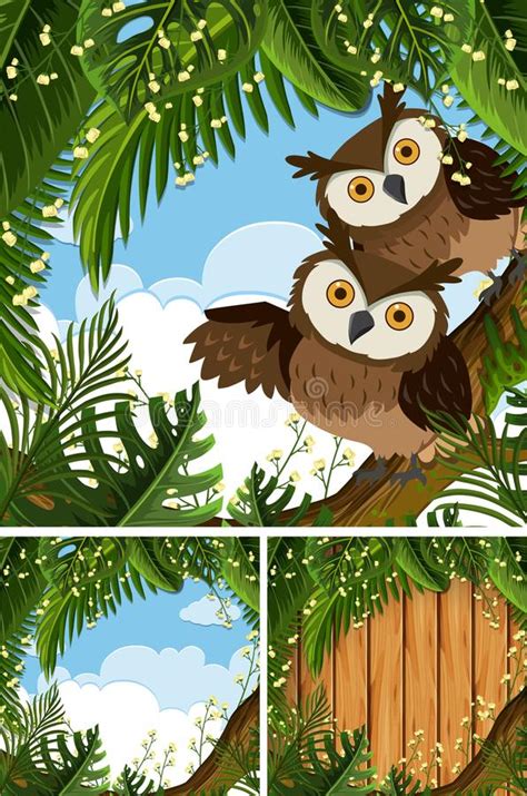 Three Scenes Of Forest With Wild Animals Stock Vector Illustration Of