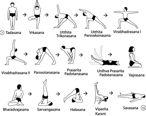 Significado De Las Asanas Traducción Sánscrito Partes Del Cuerpo Anga