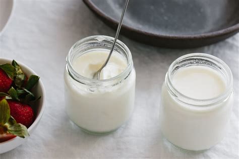 How To Make Camel Milk Yogurt Here Is The Recipe Of Any Amount Of