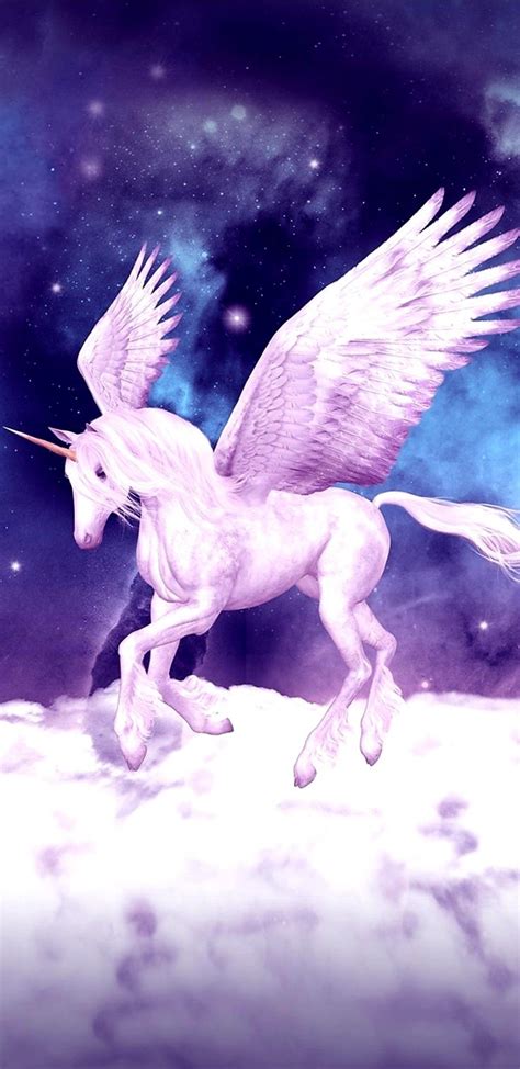 Pegasus Art Pegasus Unicorn Real Unicorn Unicorn Horse Magical