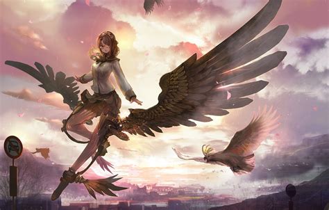 Wallpaper Girl Sunset Bird Angel Anime Art Images For