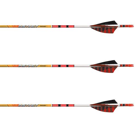 Black Eagle Instinct Arrow Fletched Wfeathers — Canada Archery Online