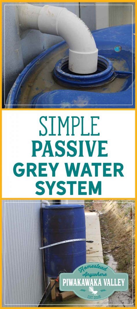 We Have Set Up This Passive Grey Water Recycling System That Feeds My