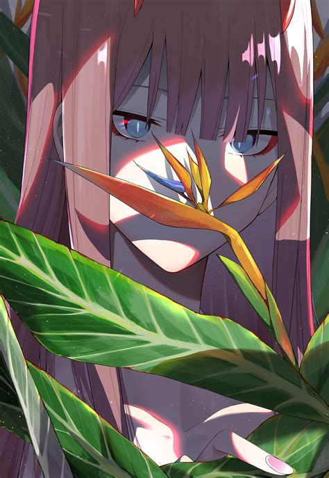 Zero Two Darling In The Franxx Image By Chicke Iii 2854042
