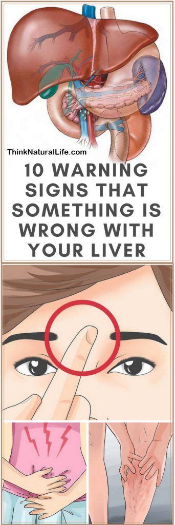 Warning Signs That Something Is Wrong With Your Liver Diy Health Health Home Beauty Tips