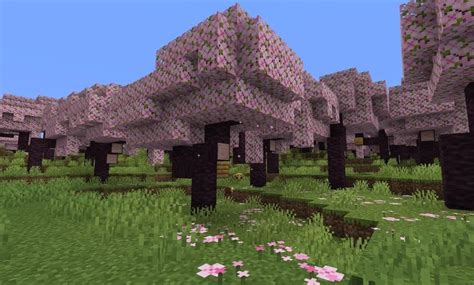 How To Get Early Cherry Blossoms In Minecraft Local News Today