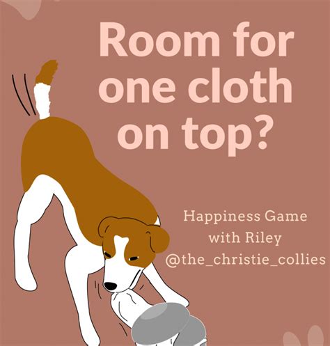 Room For One On Top Games For Dogs Bounce And Bella