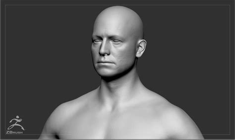 Artstation Average Caucasian Male Body Basemesh Resources