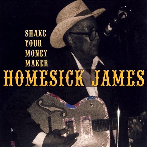 Shake Your Money Maker Homesick James Cd Album Muziek