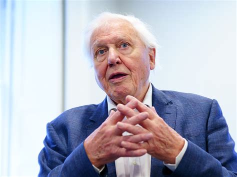 Sir David Attenborough Reveals His One Regret During 69 Year Tv Career