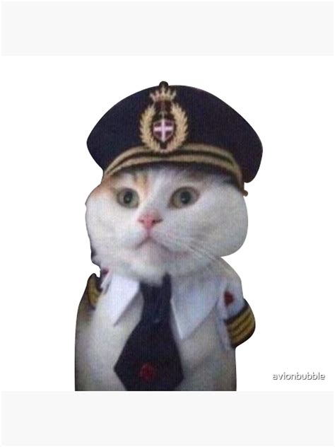 Funny Aviation Cat Pilot Meme Poster For Sale By Avionbubble Redbubble
