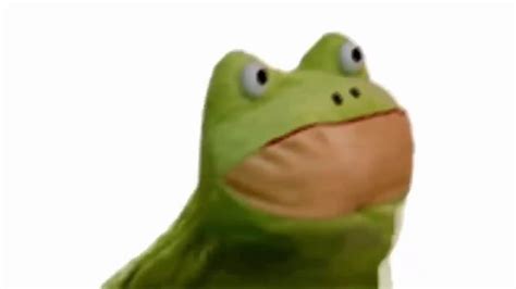 Mlg Frog Youtube