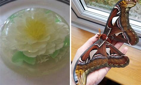 People Are Sharing Their Most Unusual Hobbies 30 Pics Demilked