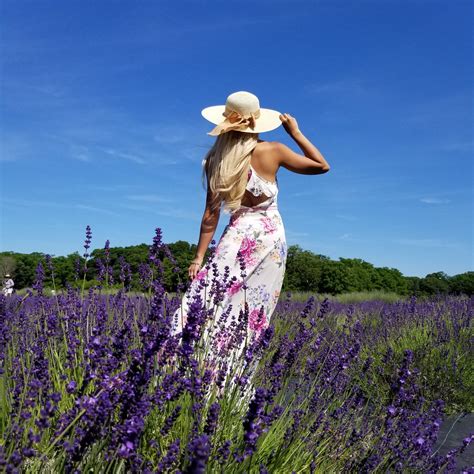 North Shore Farms — RxBarbie