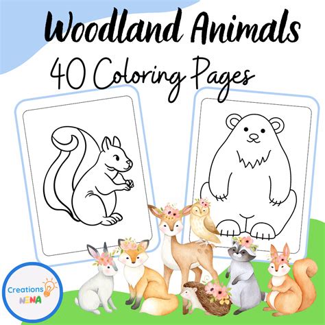 Woodland Animals Coloring Pages Made By Teachers
