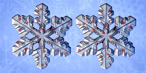 Its True That No Two Snowflakes Are Alike But Not For The Reason You