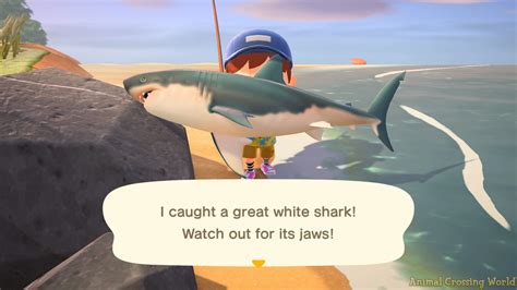 New Bugs Fish Sea Creatures In July For Animal Crossing New Horizons