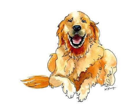 Golden Retriever Illustration Pen And Ink Watercolor Happy Humorous Dog