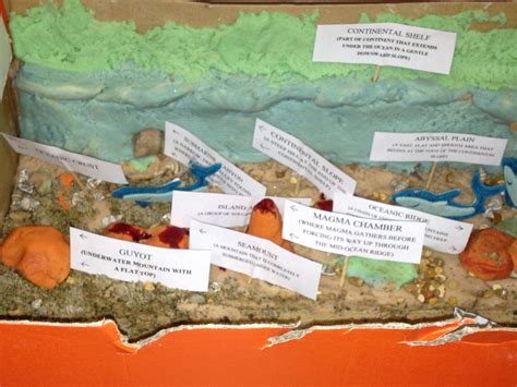 Model Of The Ocean Floor For Earth Science Earth And Space Science