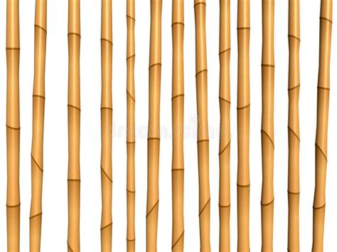 Bamboo Brown Texture Stock Illustration Illustration Of Green 15635877