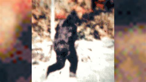 Police Investigate Bigfoot Sighting Along Interstate