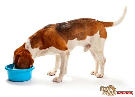 And medium breeds at about 12 to 14 months. 4Health Chicken And Rice Review | Dog Food Reviews