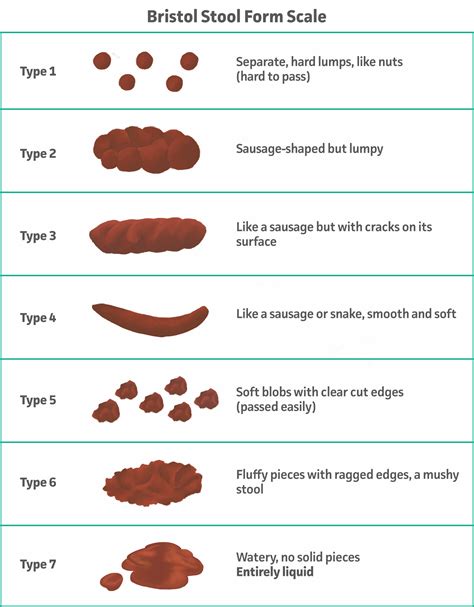 Bristol Stool Chart For Cats Images And Photos Finder
