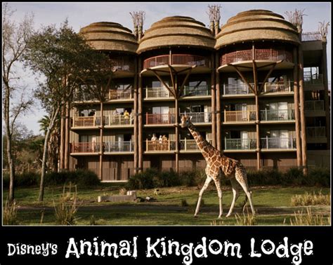 Disneys Animal Kingdom Lodge Wishes And Wands Travel Agency