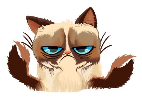 Grumpy Cat Png Images Transparent Free Download Pngmart
