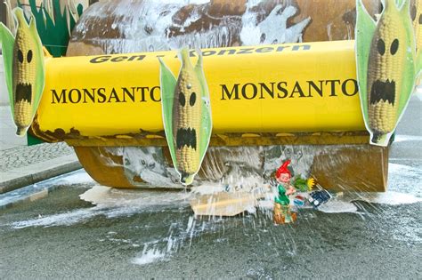 Monsanto In South Africathe True Cost Of Our Food Greenpeace Africa